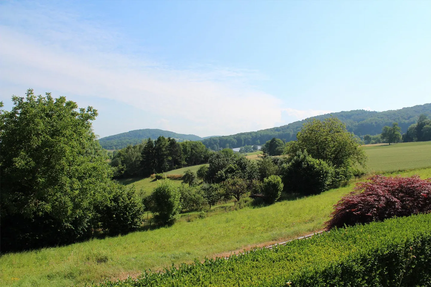Exklusives Einfamilienhaus mit 6,5 Zimmern, Garten und Pool in Riehen - Foto 14 von 15