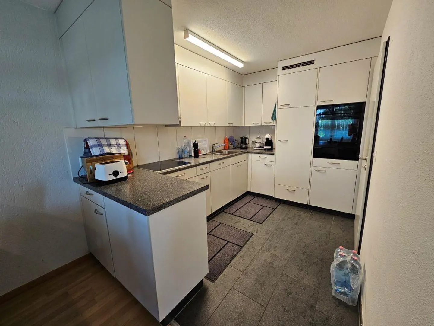 Moderno appartamento di 5 ½ locali al piano rialzato - Foto 1 di 13
