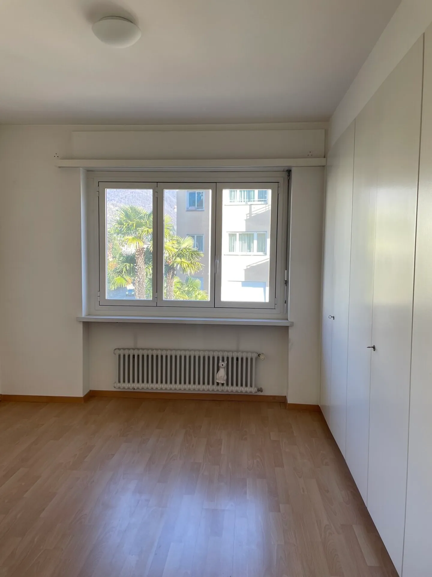 MINUSIO, Affittiamo 2½ locali con vista lago - Foto 6 di 6