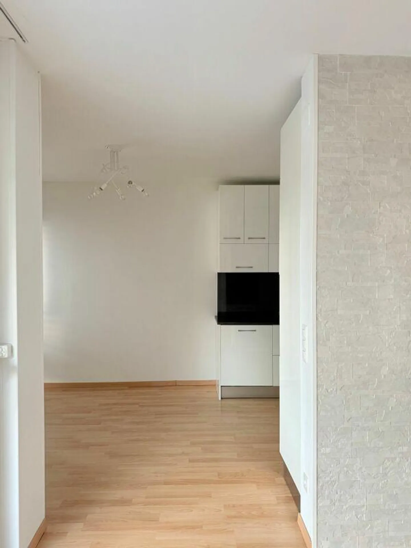 3.5 Rooms Coldrerio - Photo 3 of 11