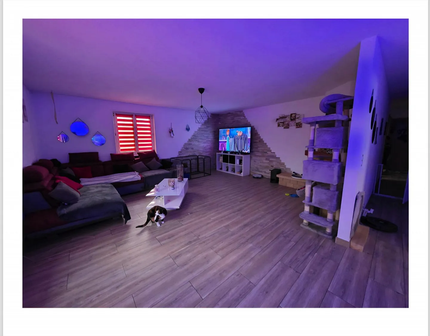 Appartement 6 Chambres - Photo 3 sur 9