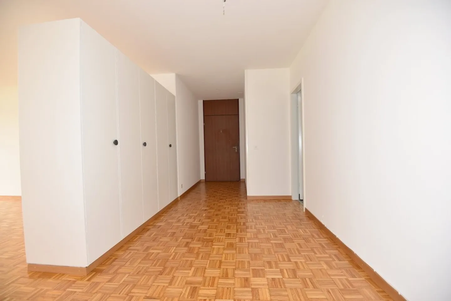 Magnificent apartment with panoramic views of the lake and the Alps - Photo 3 of 8