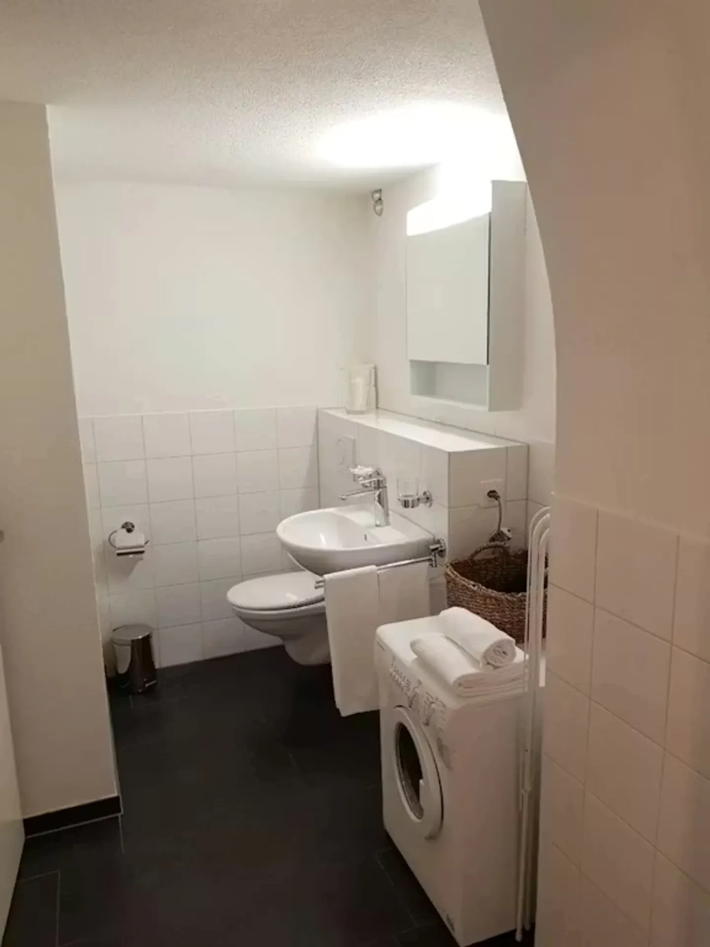 Modern Apartment in Zug - Photo 9 of 10