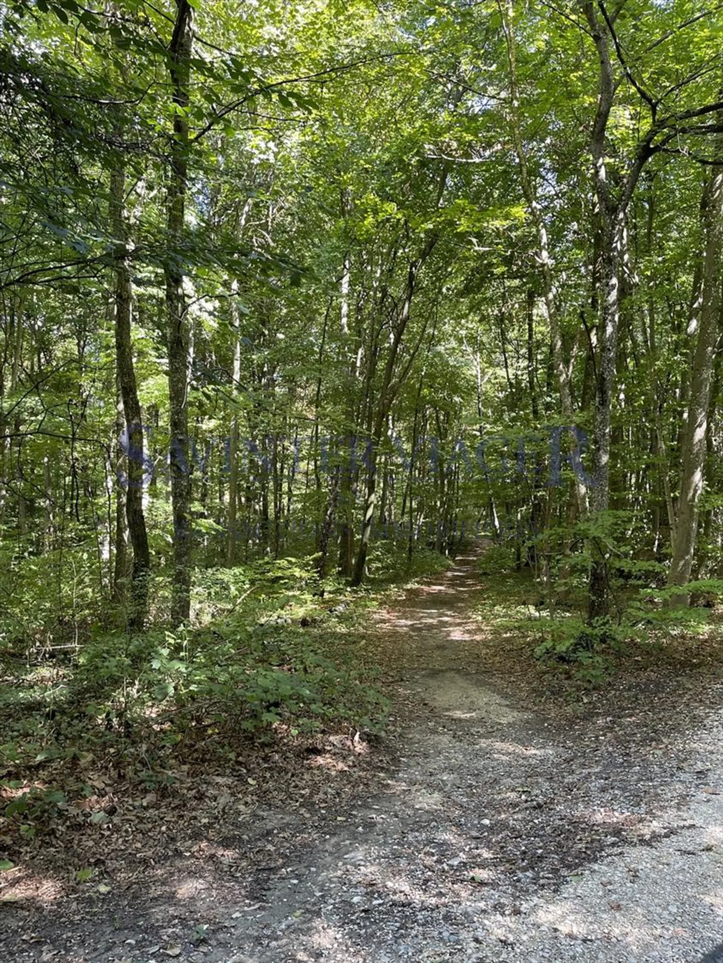 Gland, Domaine Impérial bel appartement - Viager occupé - Photo 11 sur 13