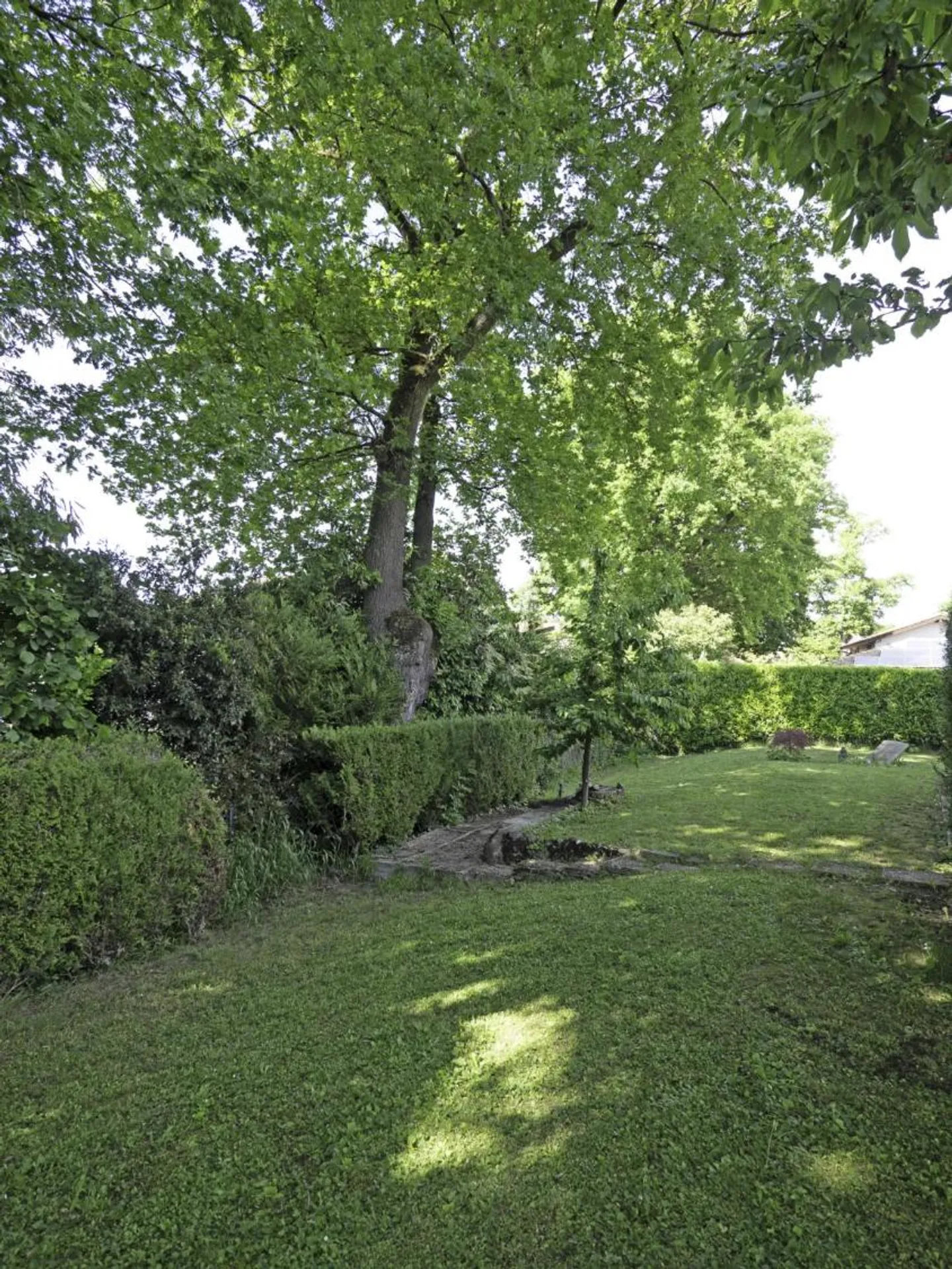 Vessy Plateau - Villa su un bellissimo lotto tranquillo e soleggiato di 884 metri quadrati - Foto 5 di 5