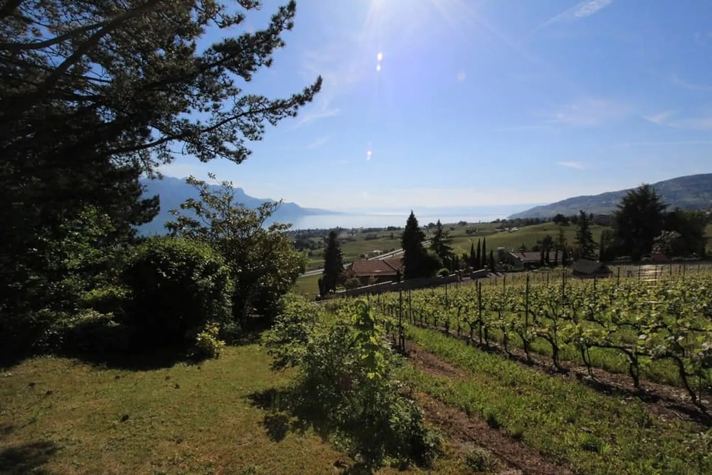 Imponente proprietà, tranquilla, vista, piscina, grande giardino - Foto 4 di 13