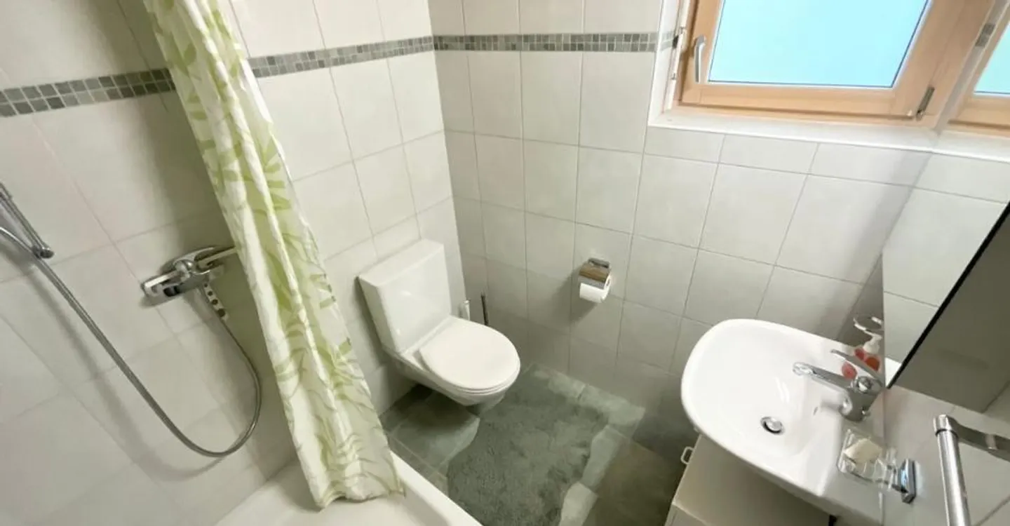 Furnished studio with terrace and unobstructed view - Photo 4 of 7