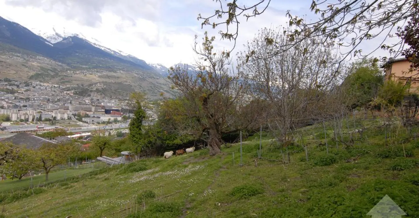 Bellissimo Terreno con Vista Stupenda - Foto 8 di 13