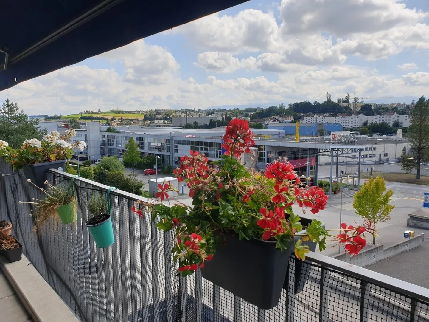 SPACIOUS APARTMENT - Photo 8 of 12