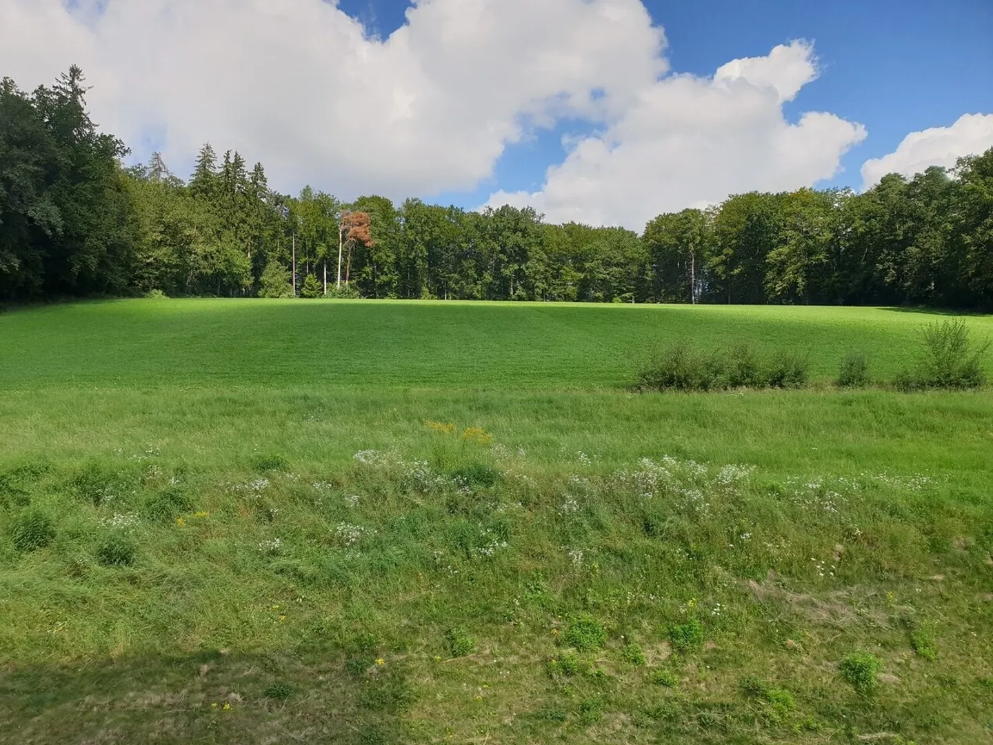 SPACIOUS APARTMENT - Photo 5 of 12