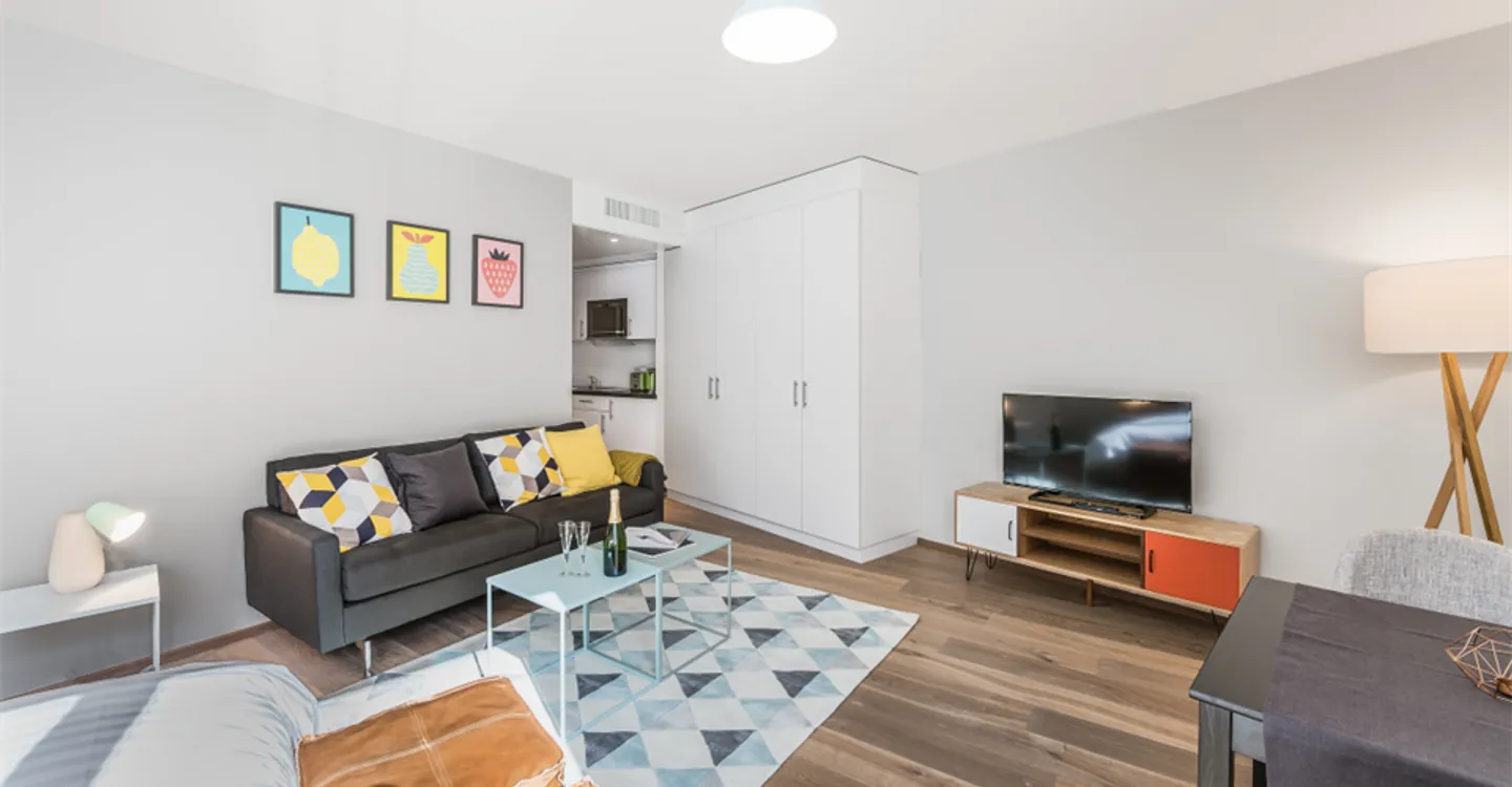 ✨ Charming Furnished Studio for Rent in Carouge, Rue des Noirettes, Geneva ✨ - Photo 2 of 5