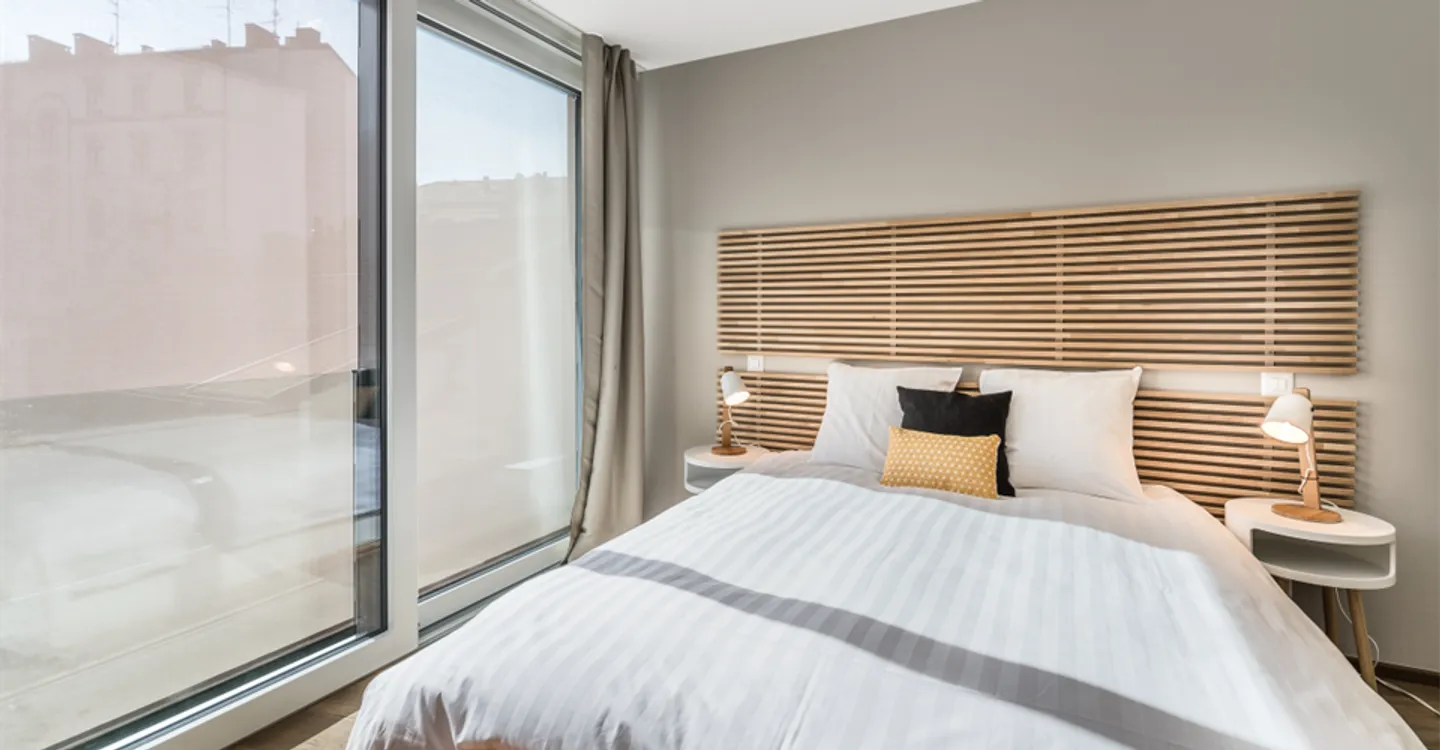 ✨ Charming Furnished Studio for Rent in Carouge, Rue des Noirettes, Geneva ✨ - Photo 3 of 5