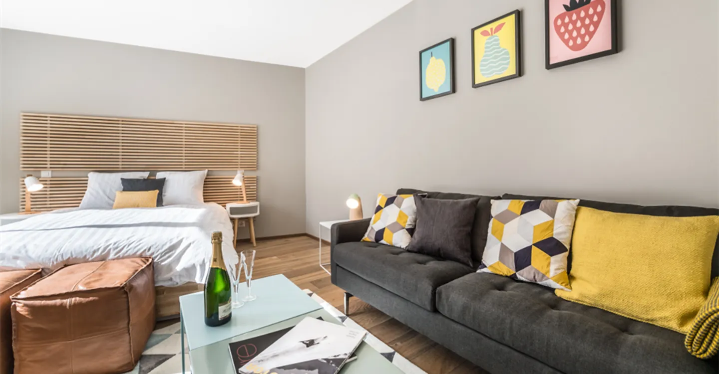 ✨ Charming Furnished Studio for Rent in Carouge, Rue des Noirettes, Geneva ✨ - Photo 4 of 5