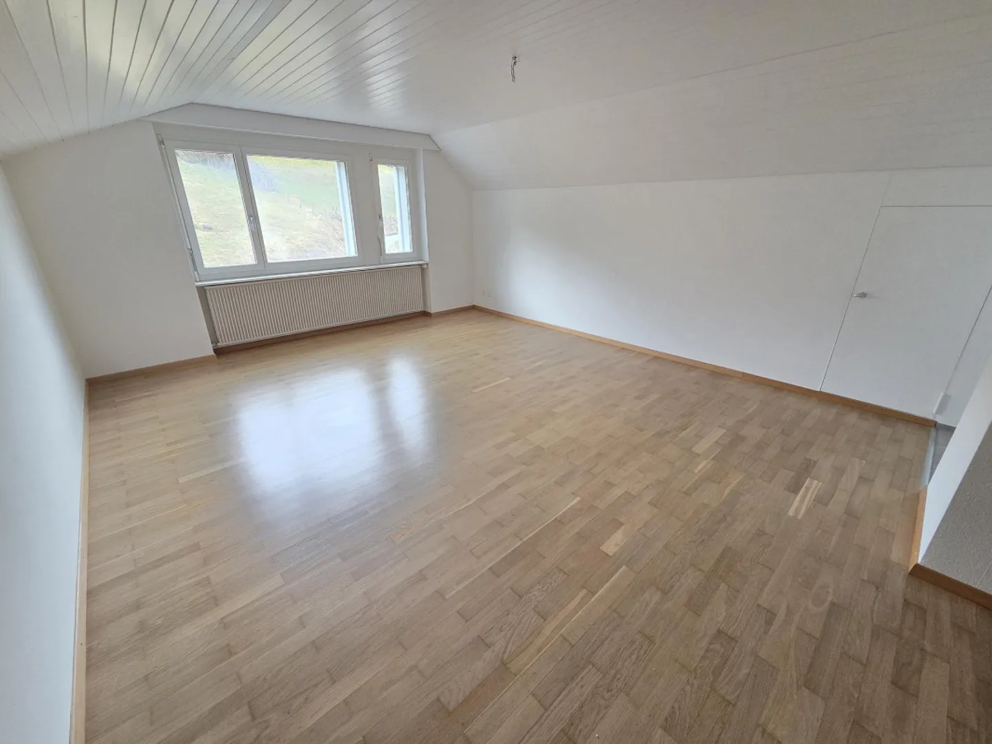 Freshly renovated, spacious 1.5-room apartment including 2 attic compartments - Photo 3 of 7