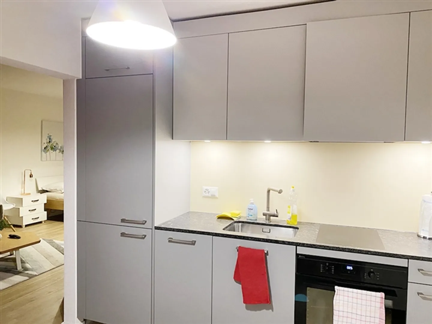 Appartamento arredato accogliente di 1,5 stanze con vista sulla città a Zurigo - Foto 4 di 6