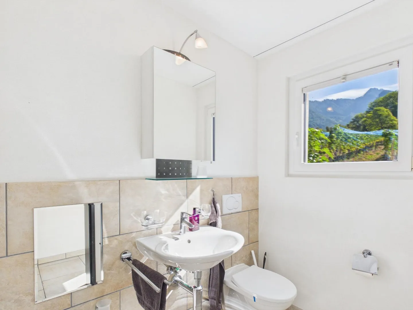 Über 1’000 m² Freiraum – Einfamilienhaus, Garten und viel Privatsphäre - Photo 21 sur 30