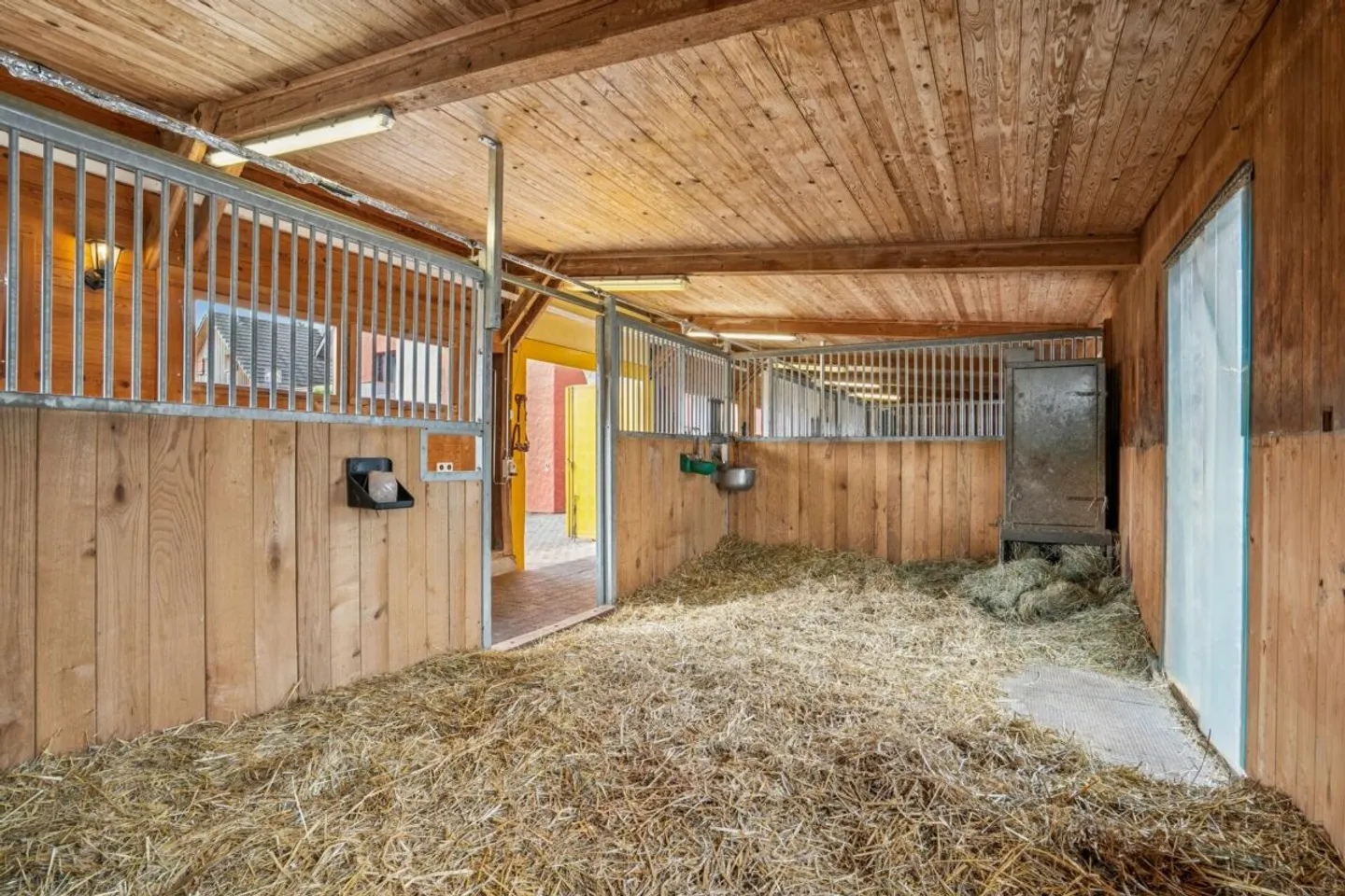 Charmante Reitsportanlage - Foto 10 von 18