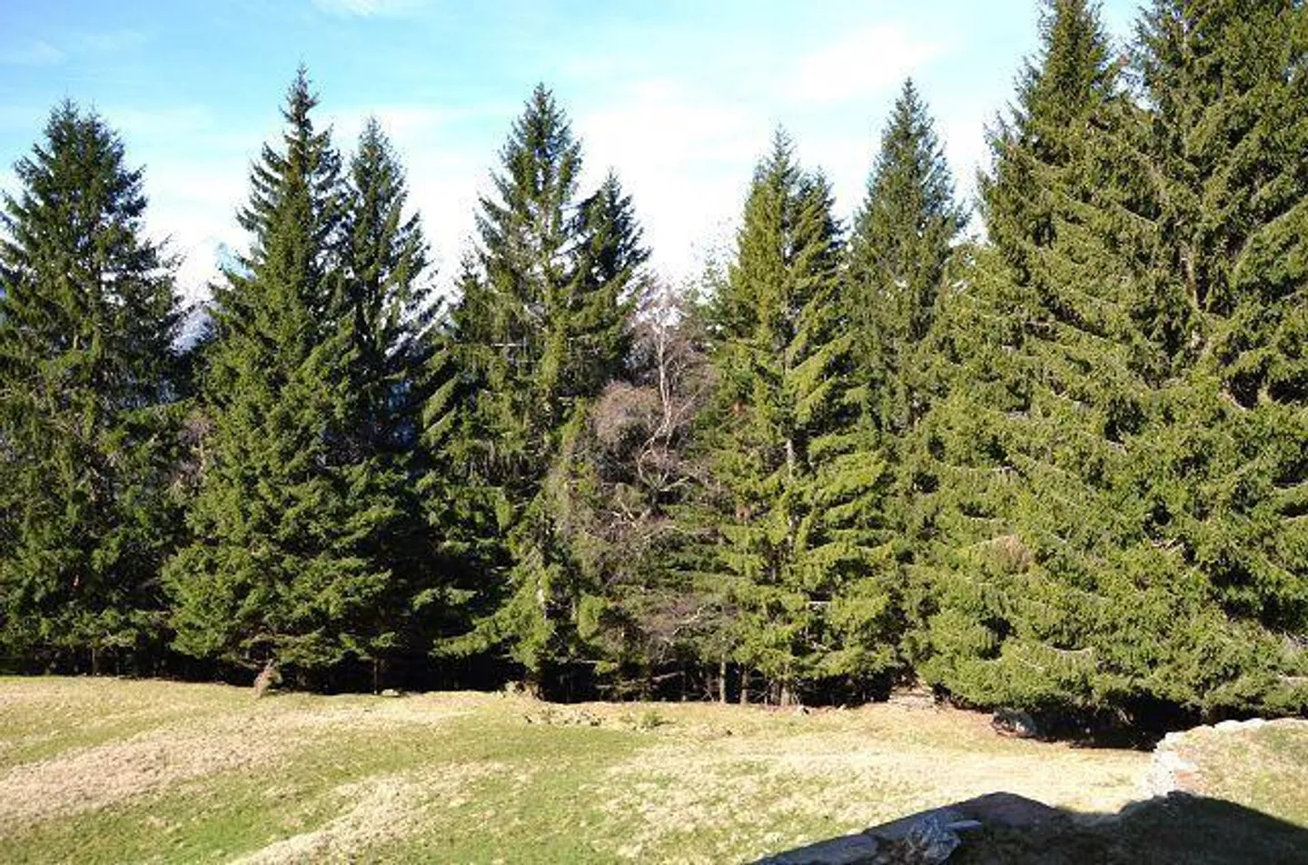 Charmantes Rustico in sonniger Lage - Foto 18 von 31