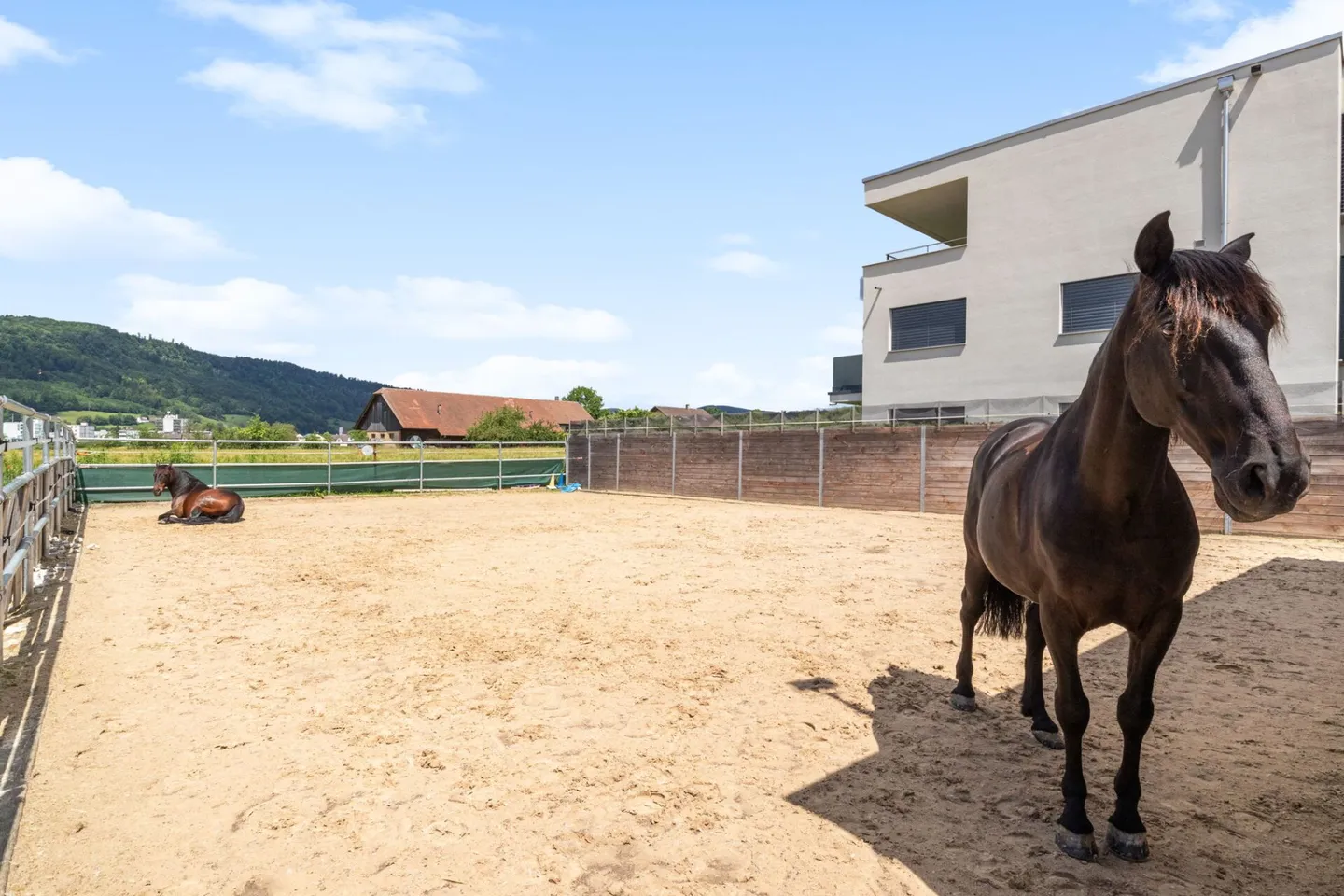 Single house for sale - Photo 1 of 20