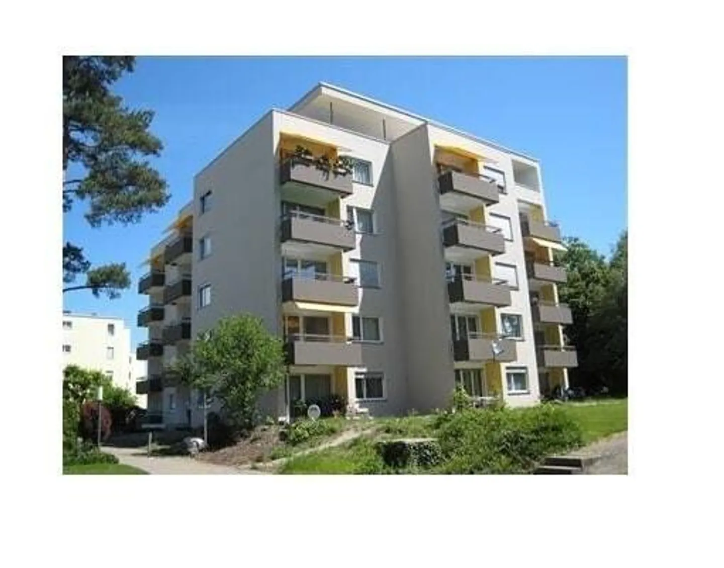 Quiet and cozy 3.5-room apartment in Volketswil - Photo 1 of 7