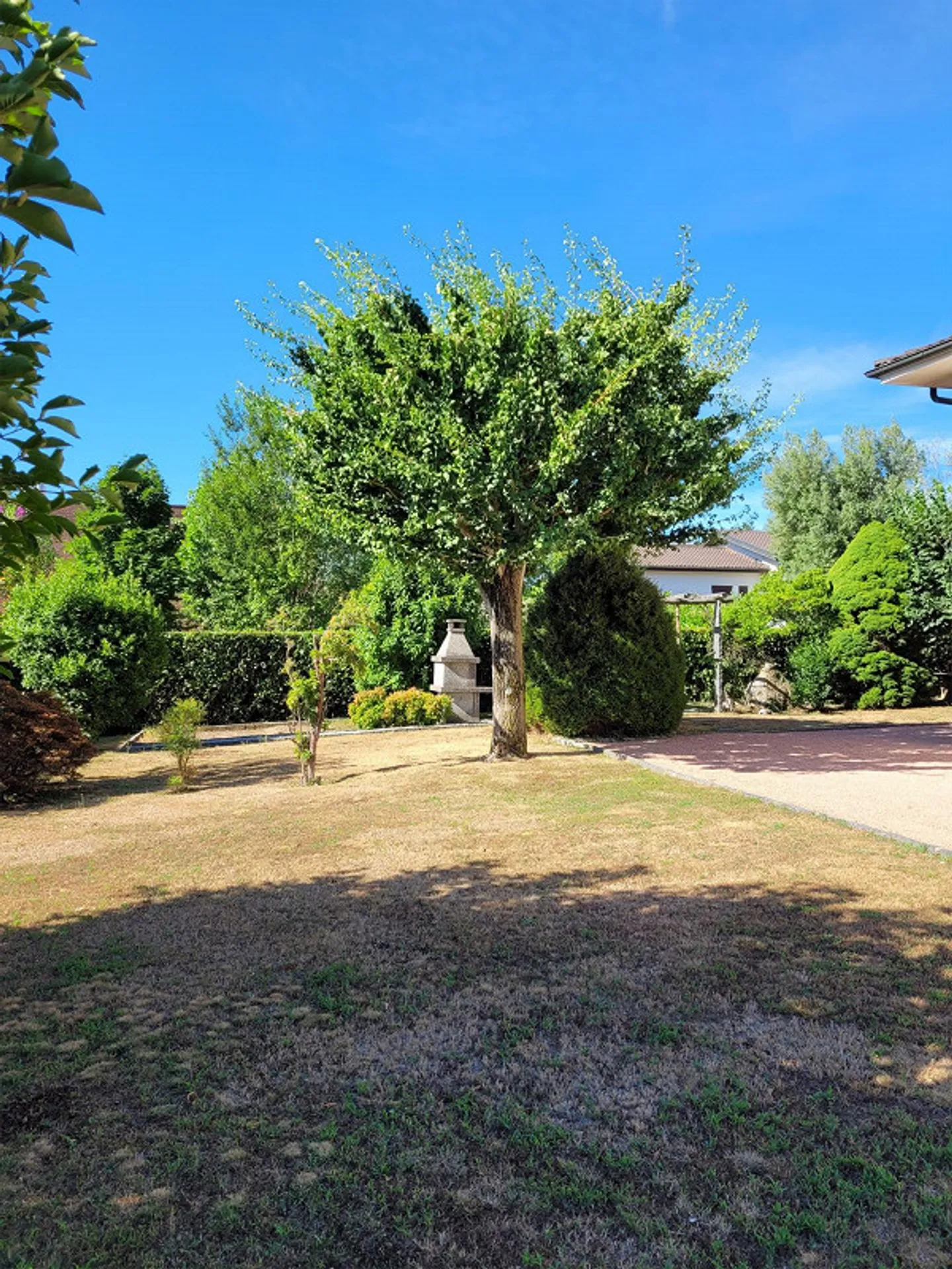 Rancate villa da ristrutturare con splendido giardino - Foto 5 di 14