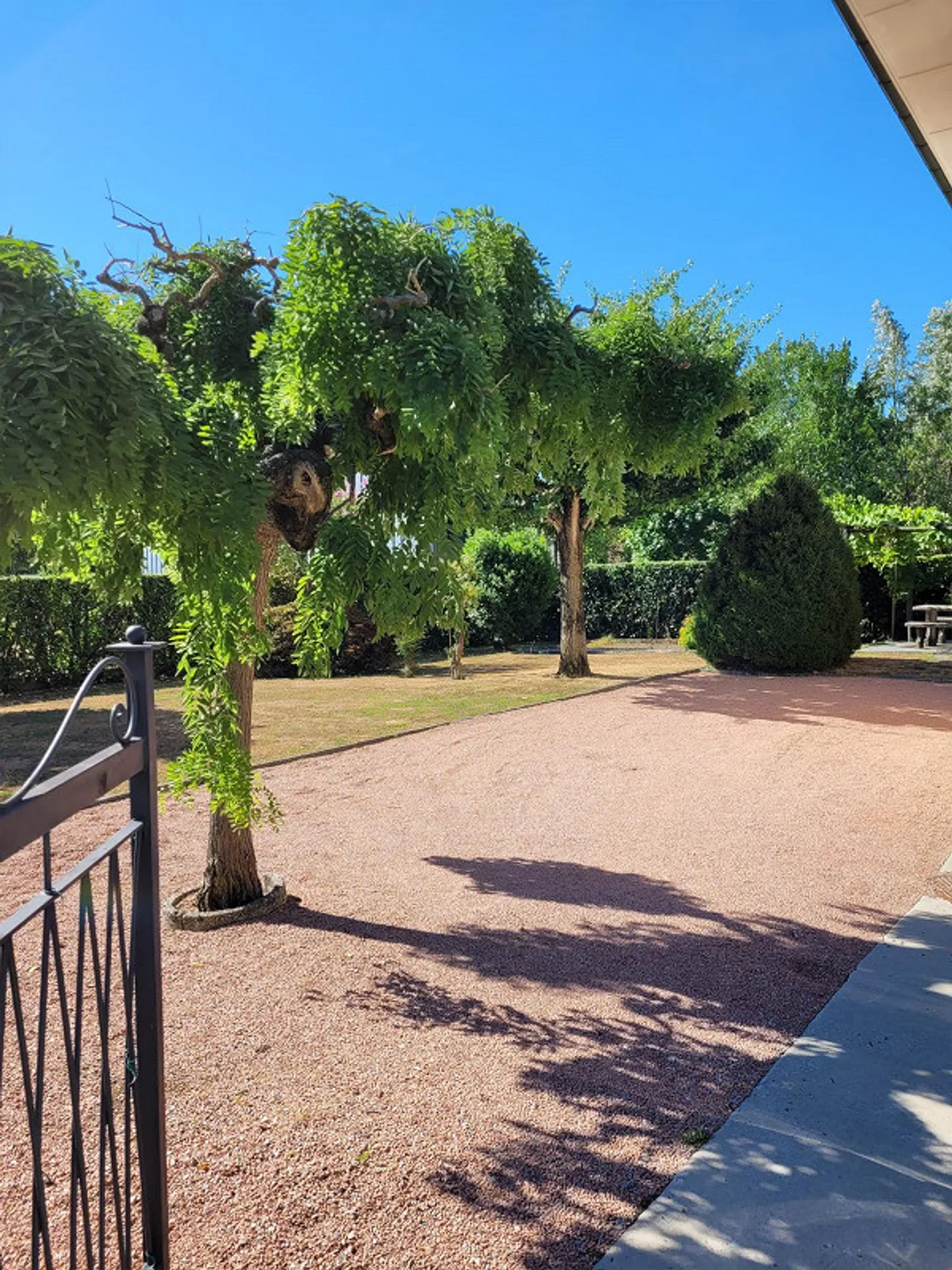 Rancate villa da ristrutturare con splendido giardino - Foto 7 di 14