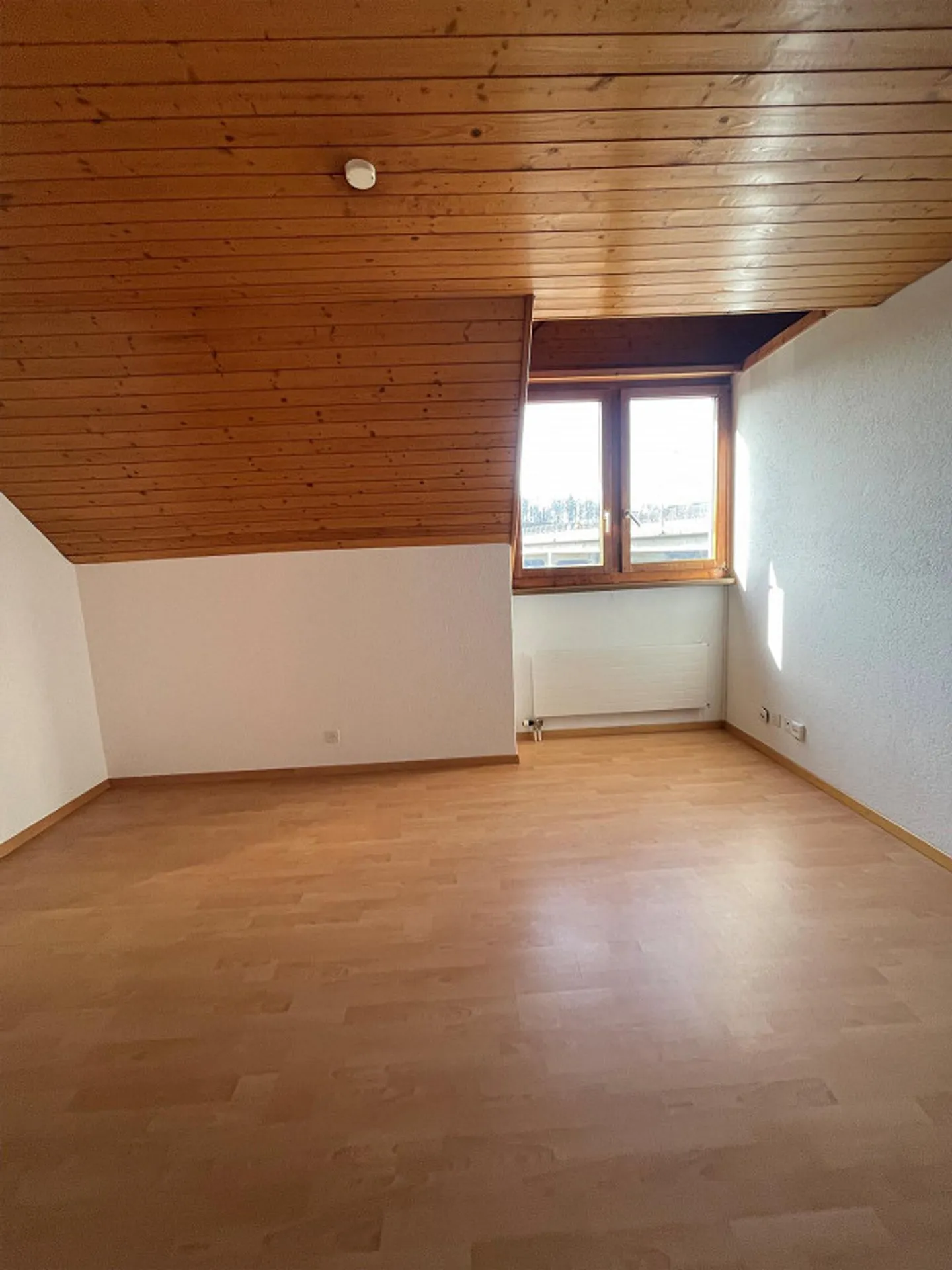 Affordable 2.5-room apartment in St. Gallen (temporary) - Photo 6 of 13