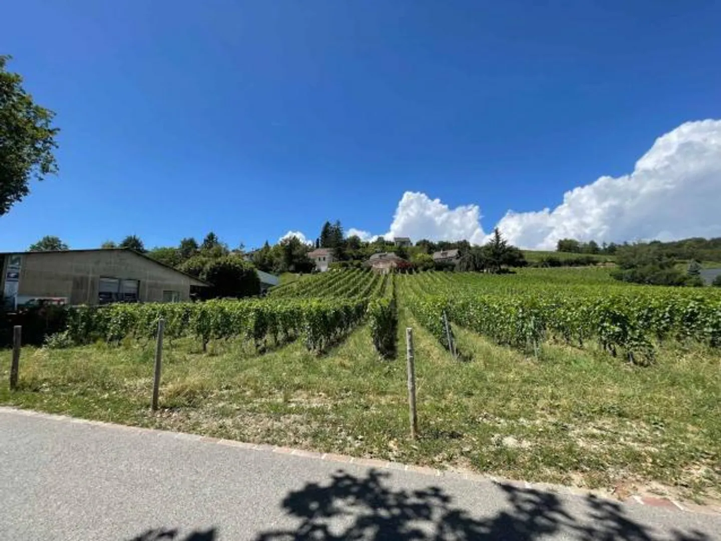 Espace Commercial à Echandens - Photo 2 sur 2