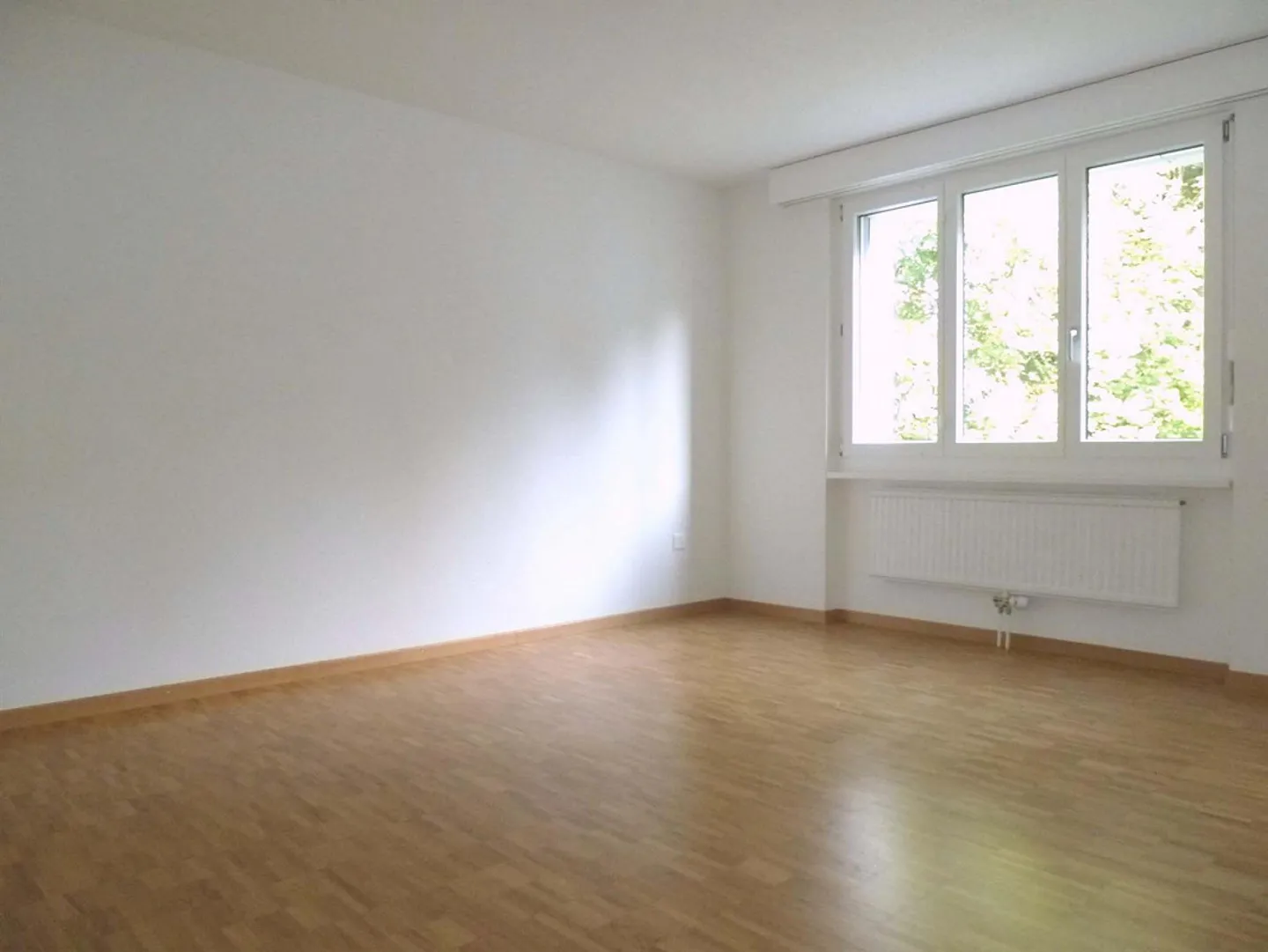 In the Heart of Lütisburg - Photo 4 of 9