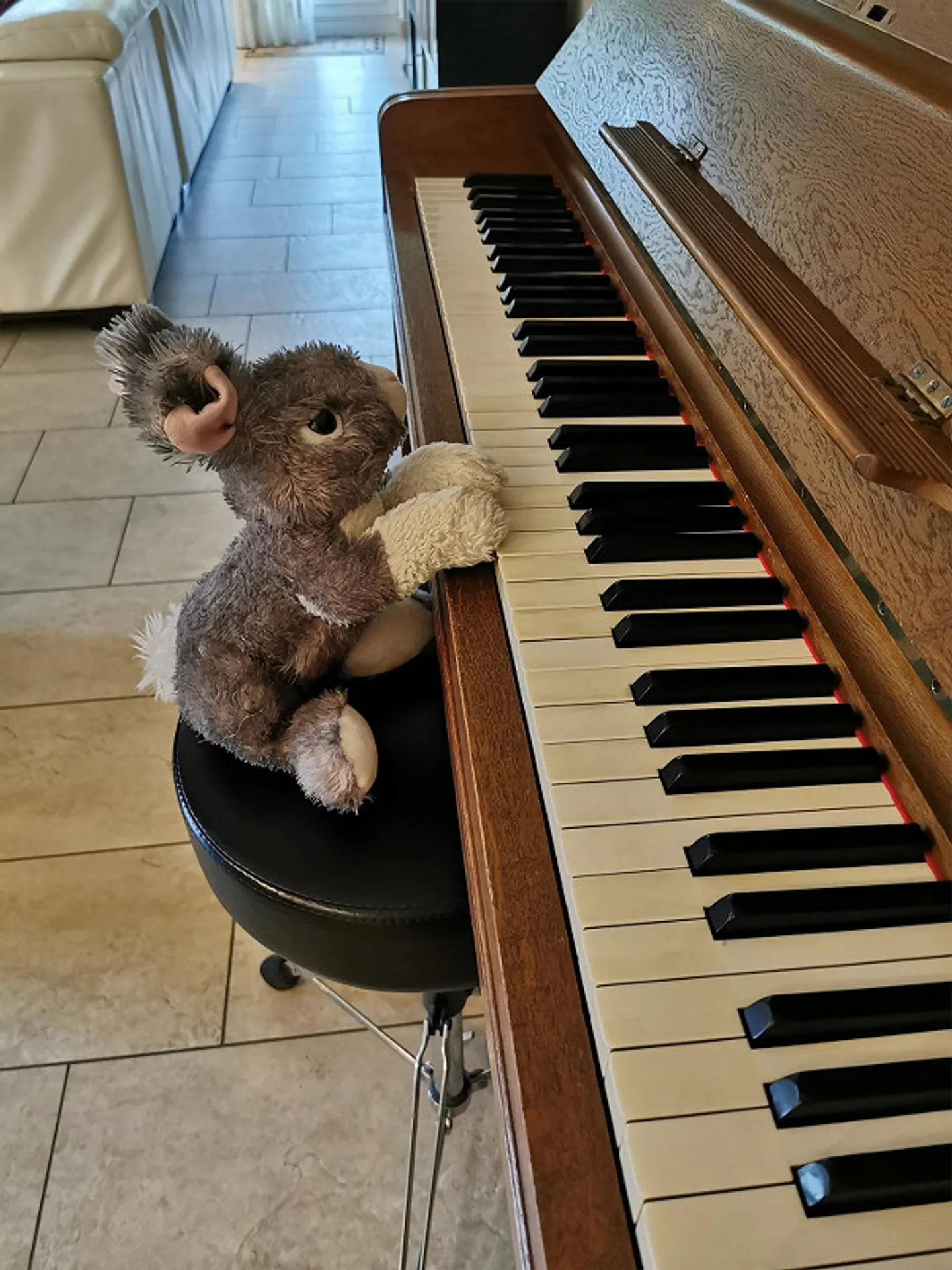 Luminoso appartamento familiare arredato di 6,5 stanze con giardino a Dübendorf - Foto 4 di 21