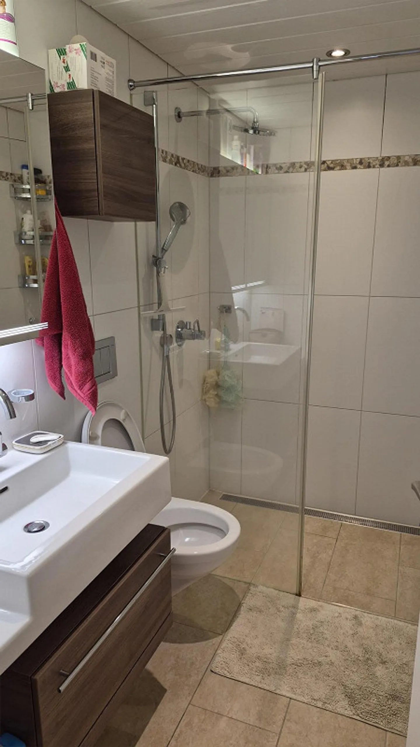 Luminoso appartamento familiare arredato di 6,5 stanze con giardino a Dübendorf - Foto 16 di 21