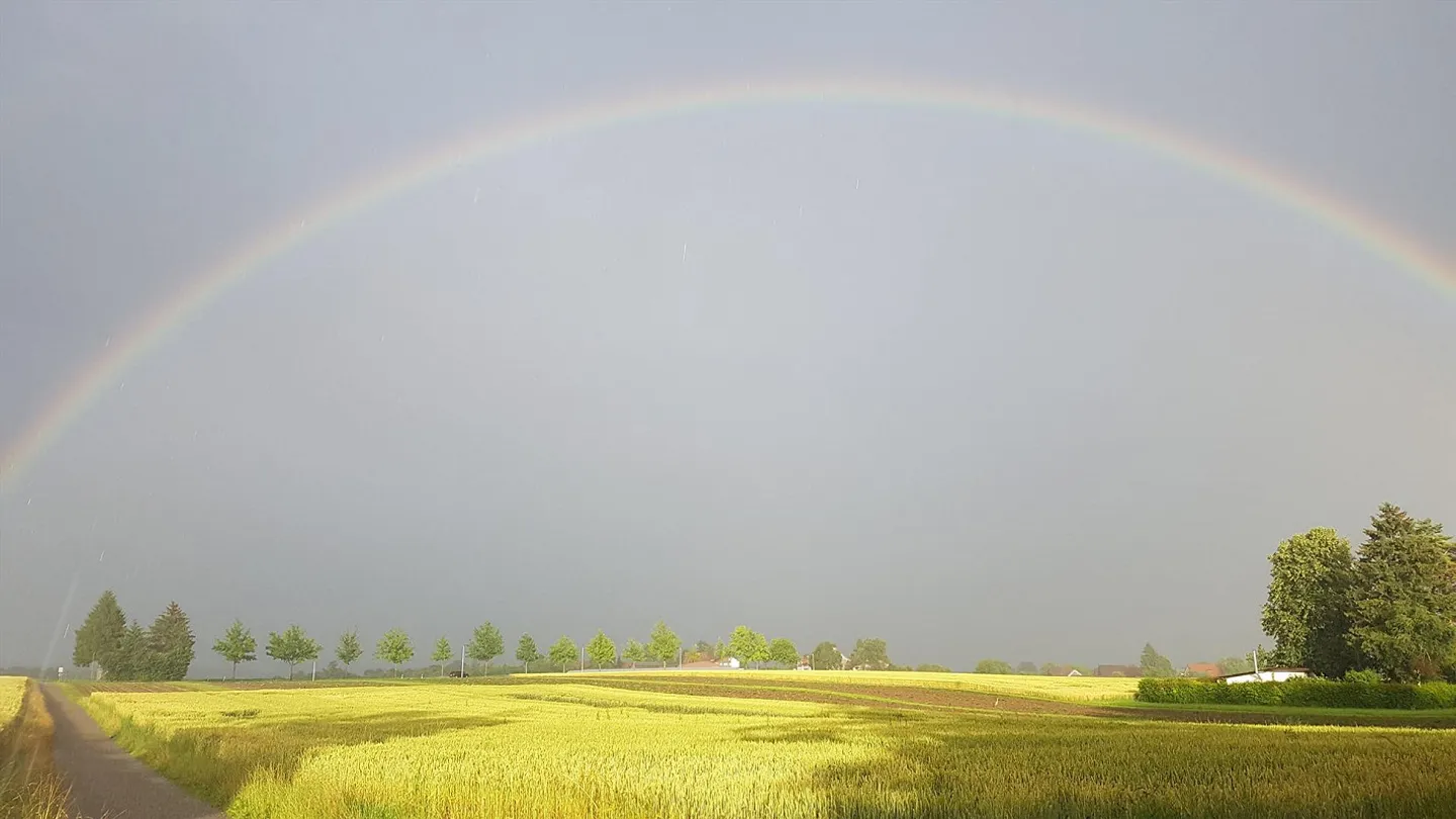 Luminoso appartamento familiare arredato di 6,5 stanze con giardino a Dübendorf - Foto 20 di 21