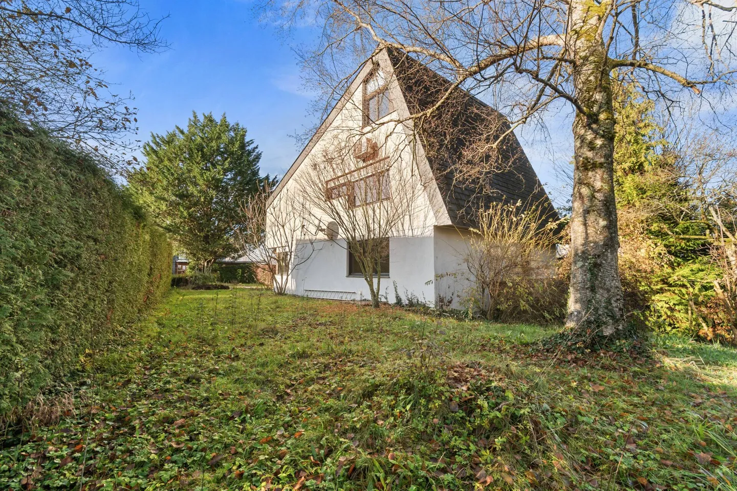 Casa unifamiliare indipendente nella migliore posizione ad Arlesheim - Foto 1 di 9
