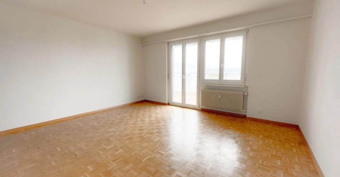 Appartamento di 4 stanze completamente ristrutturato con grande balcone - Foto 4 di 11