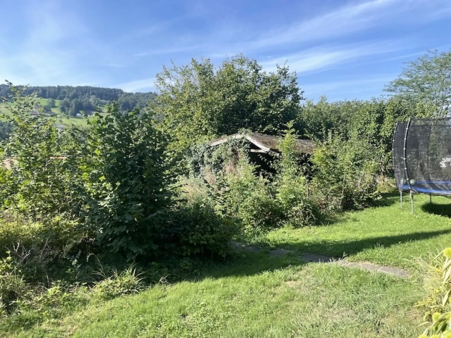 Casa singola in affitto - Foto 7 di 12