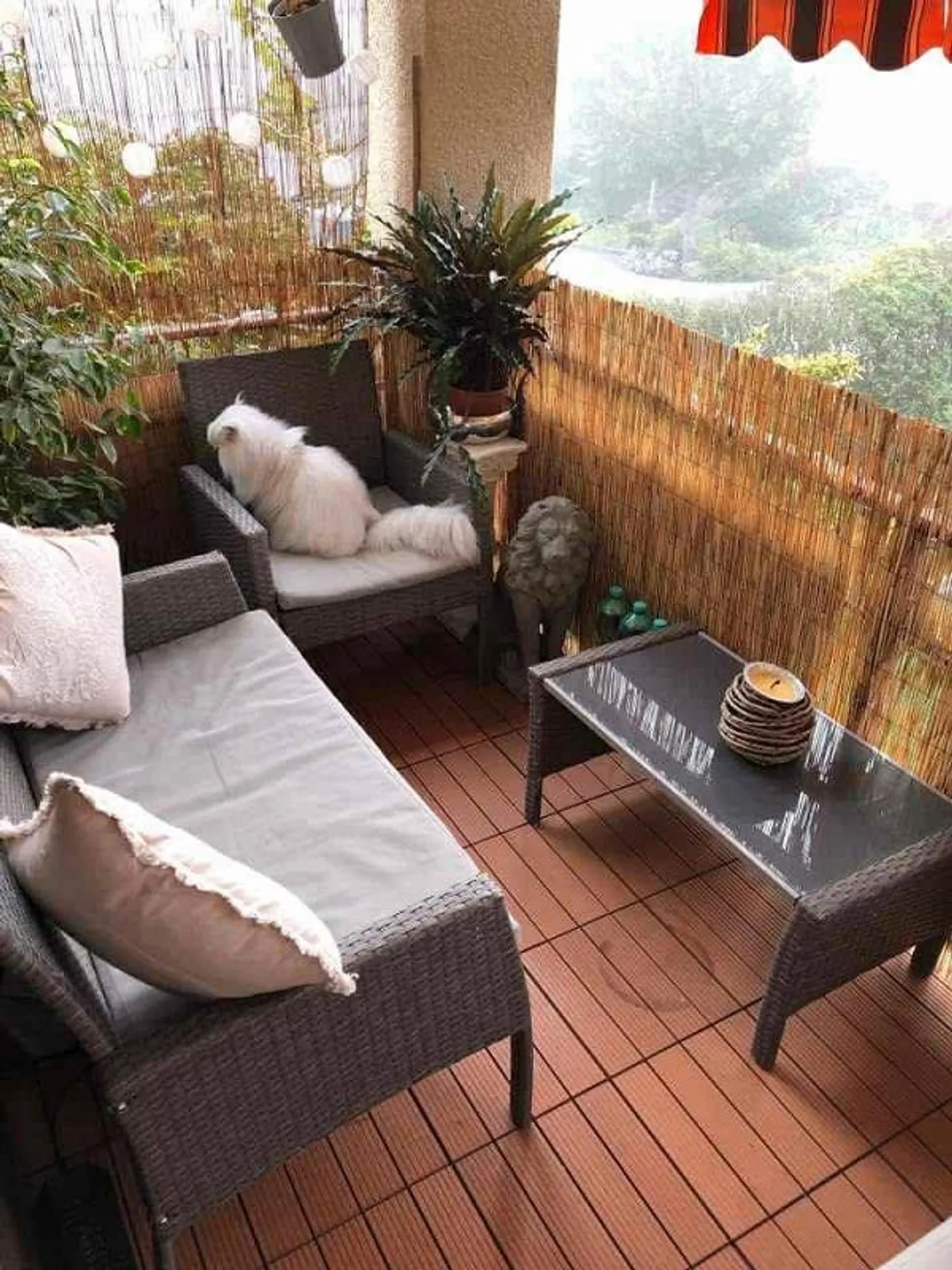 Appartement spacieux en périphérie - Photo 5 sur 5