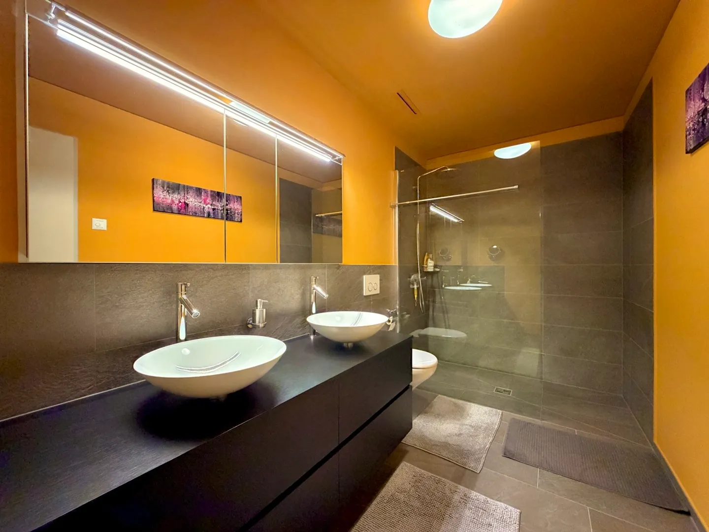 Elegant condominium on the Rhine with loggia and 2 parking spaces - Photo 11 of 18