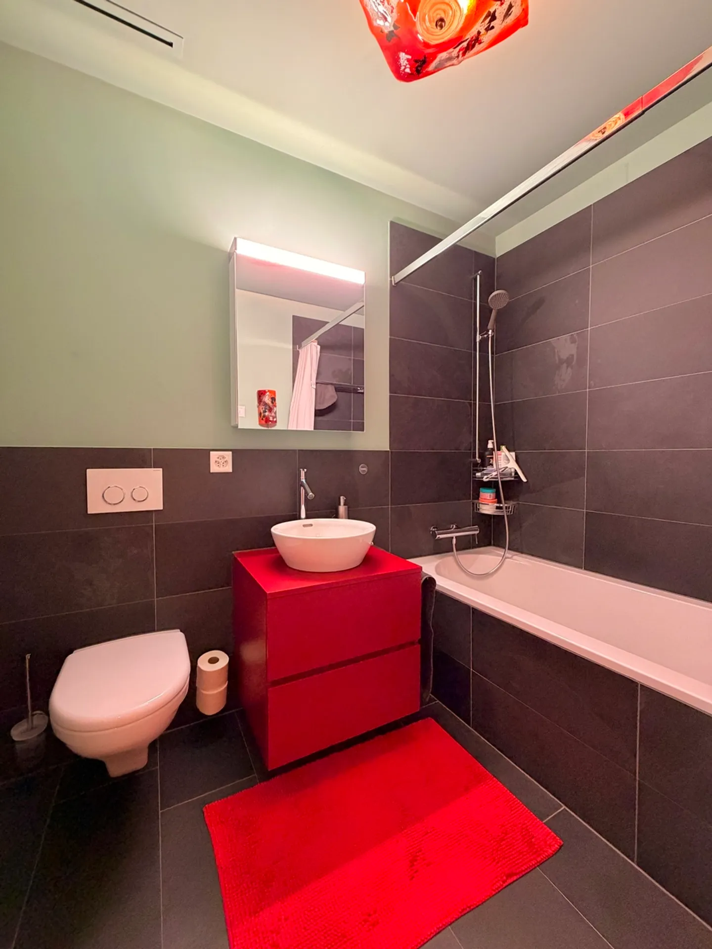 Elegant condominium on the Rhine with loggia and 2 parking spaces - Photo 14 of 18