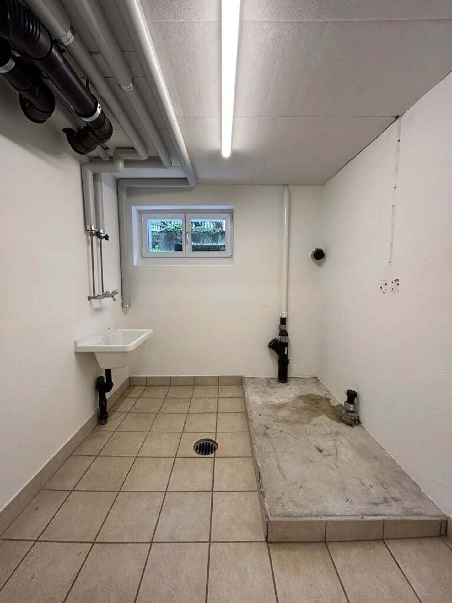 Salle de stockage à Höngg - Photo 2 sur 2