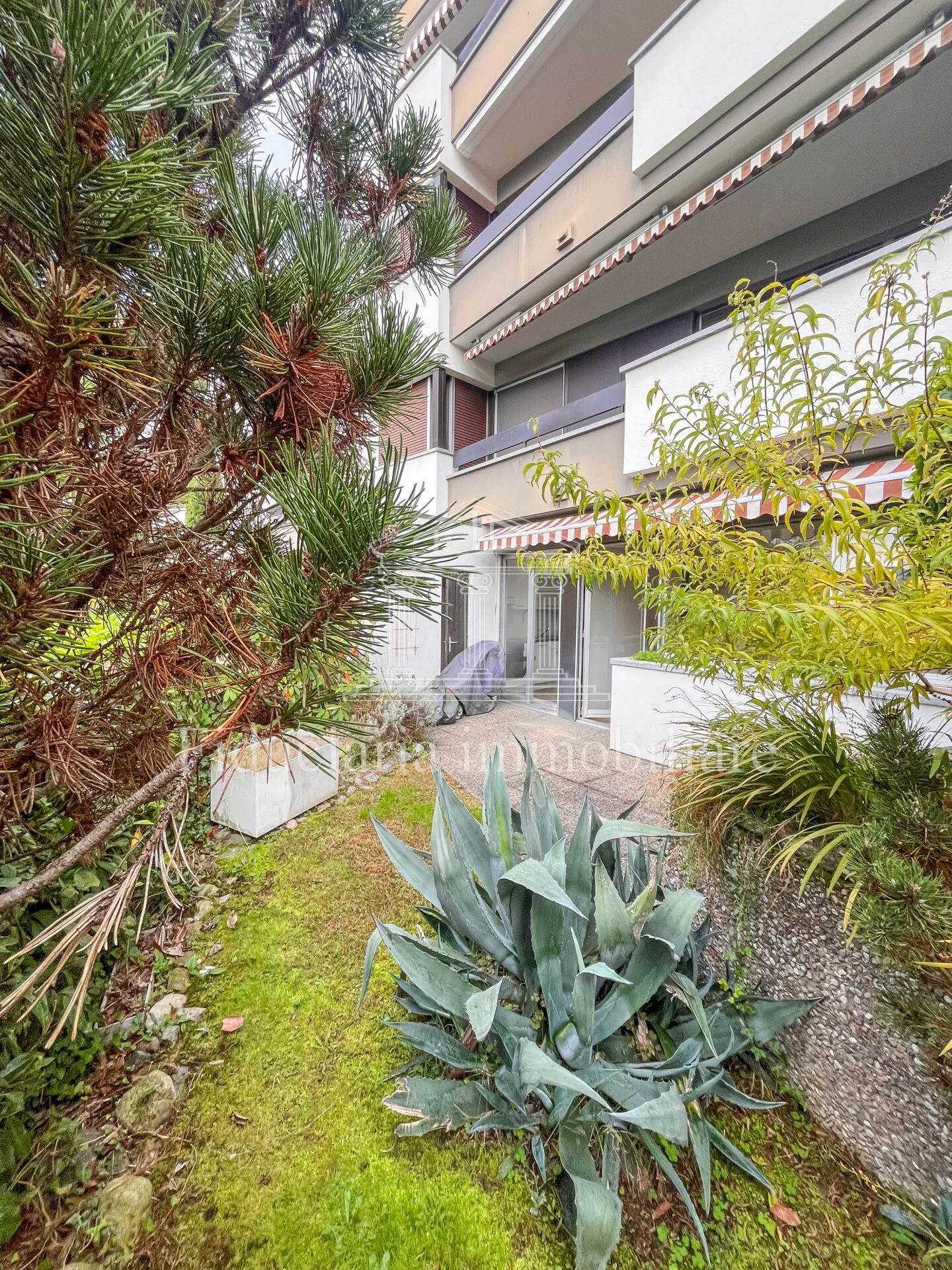 ASCONA - Affittasi appartamento - Foto 6 di 13