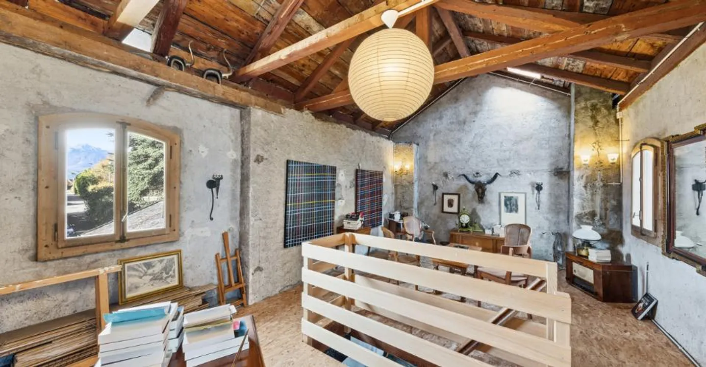 MANSION - WORKSHOP AND PARK - PANORAMIC VIEW - Photo 11 of 12