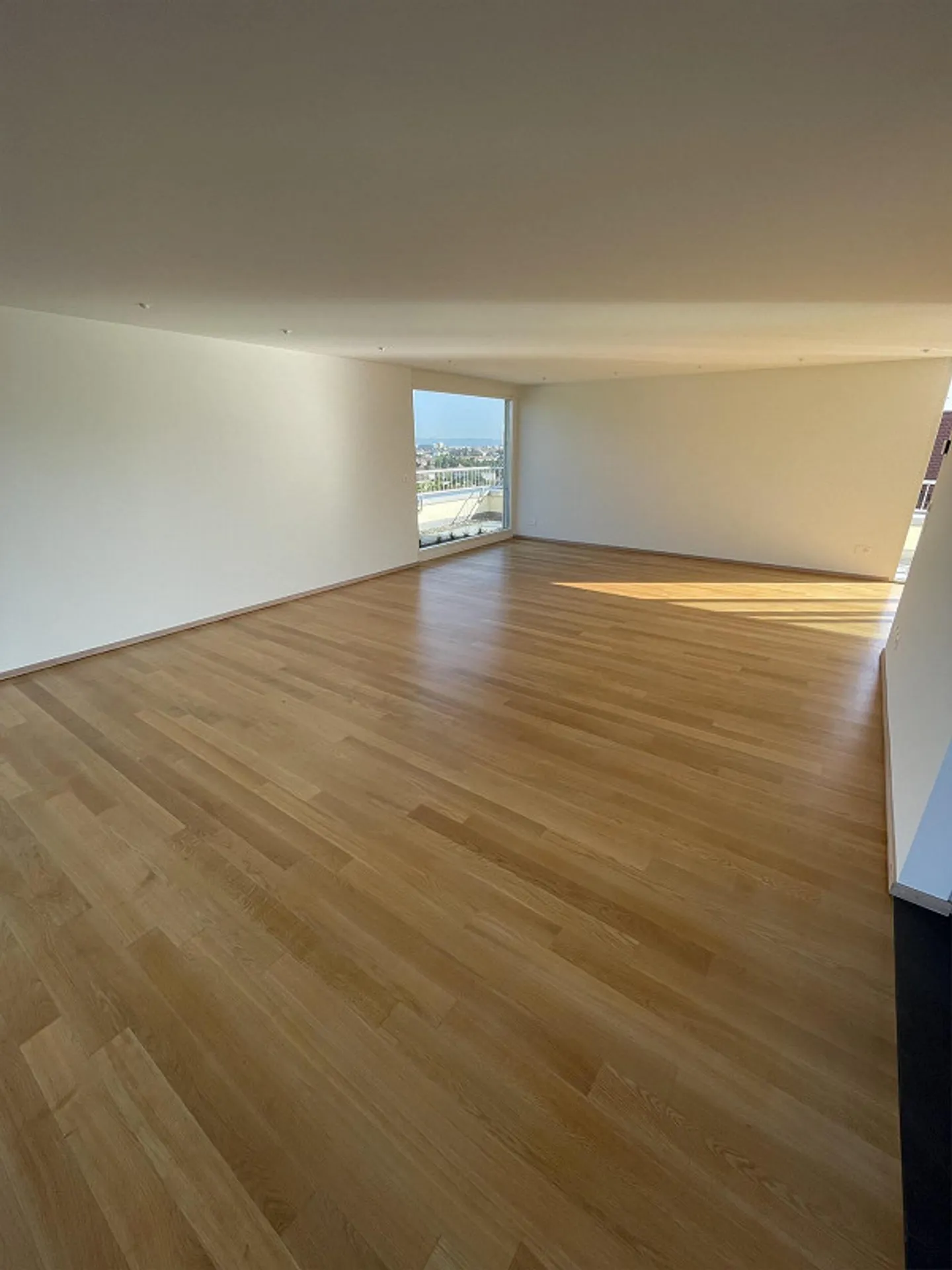 Luxurious 4.5 Maisonette Apartment in Binningen for Rent - Photo 4 of 27