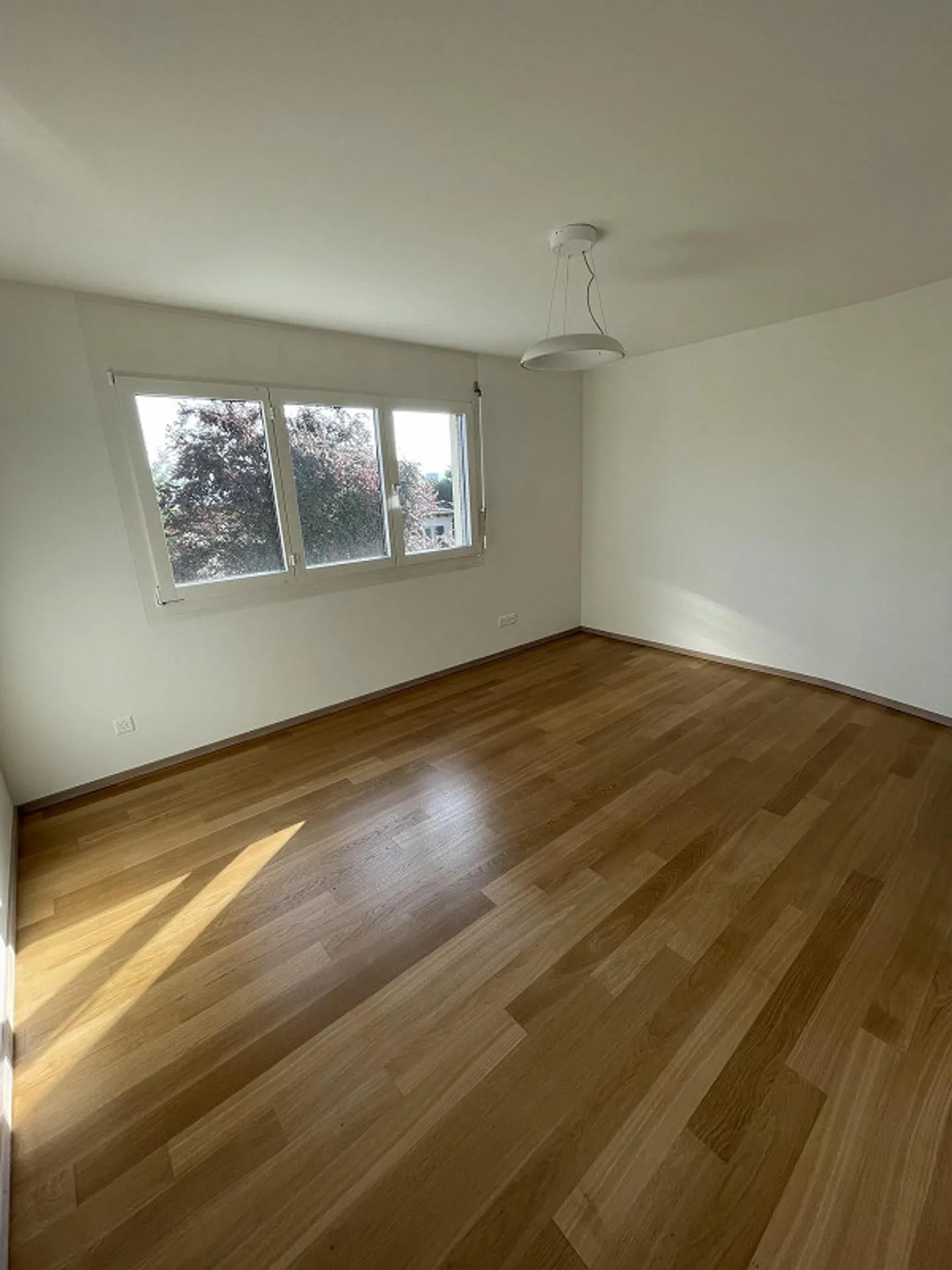 Luxurious 4.5 Maisonette Apartment in Binningen for Rent - Photo 23 of 27