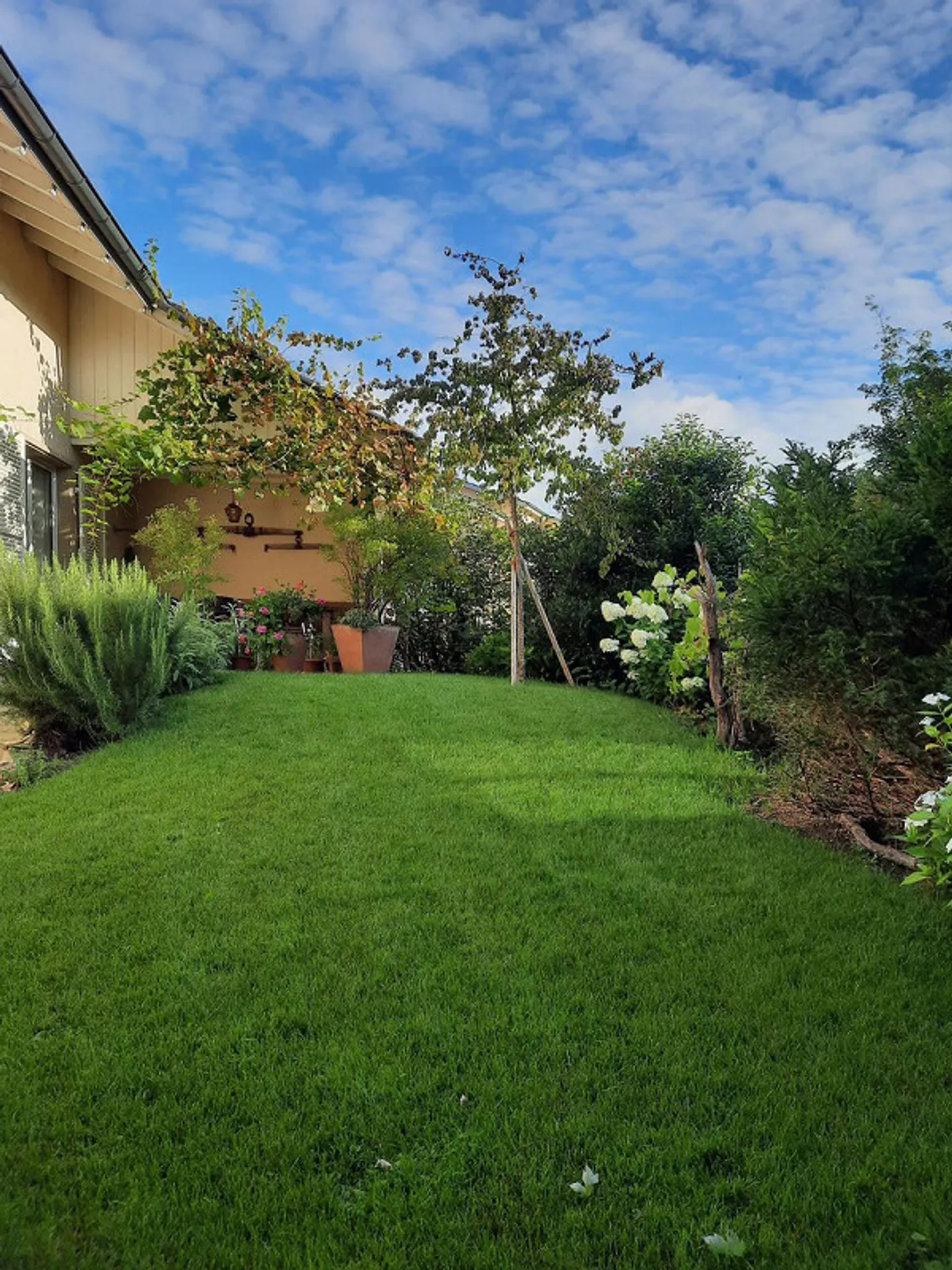 Freistehendes Einfamilienhaus mit Garten - Foto 18 von 21