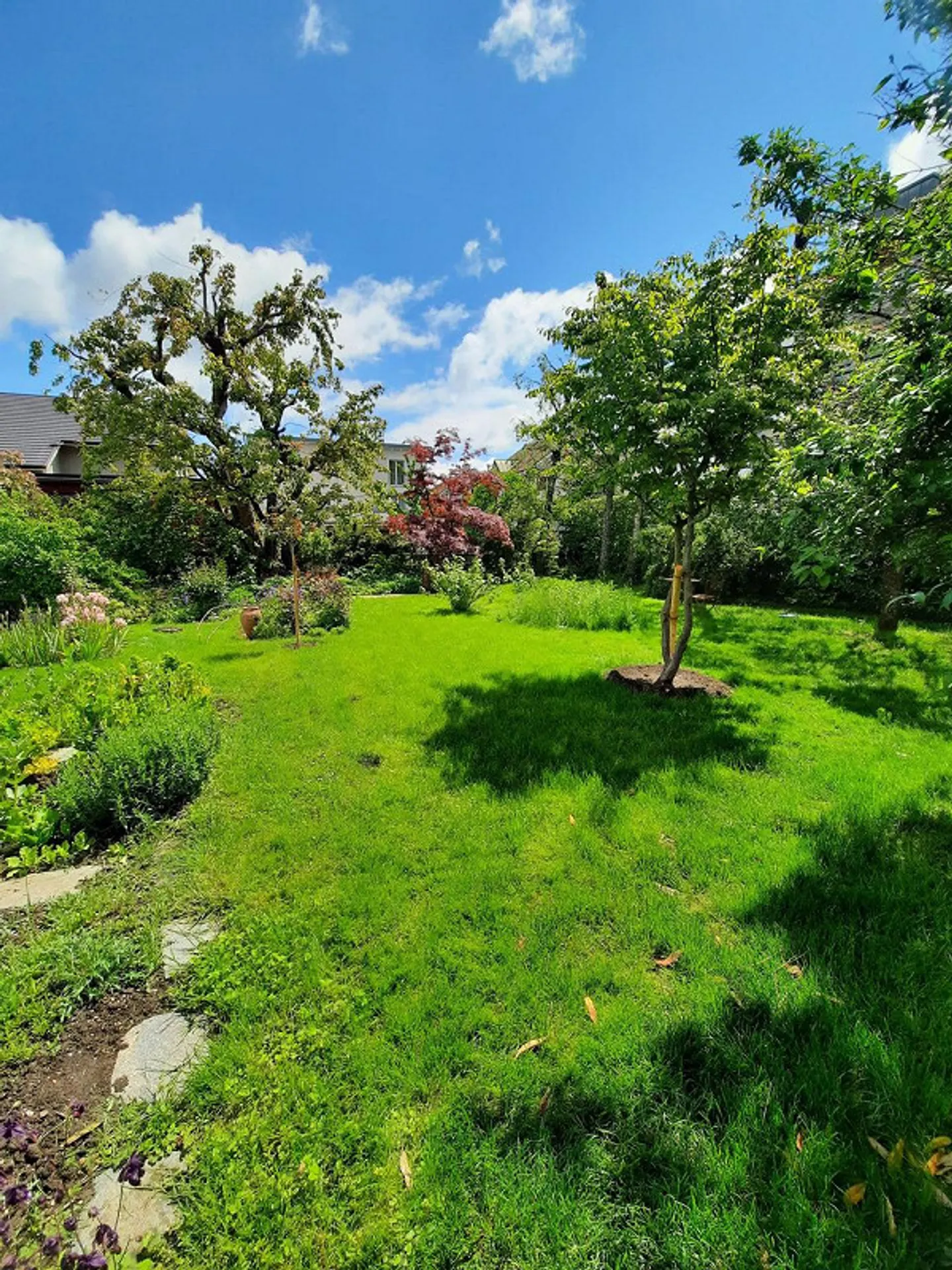 Freistehendes Einfamilienhaus mit Garten - Foto 21 von 21