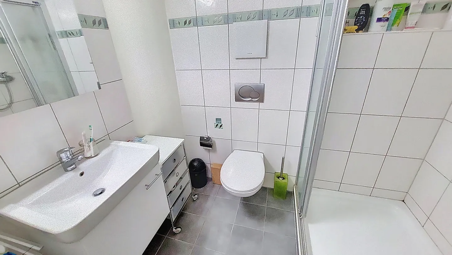 Appartamento 5.5 locali di circa 166 m2 in mansarda a Cheyres / FR - Foto 14 di 19