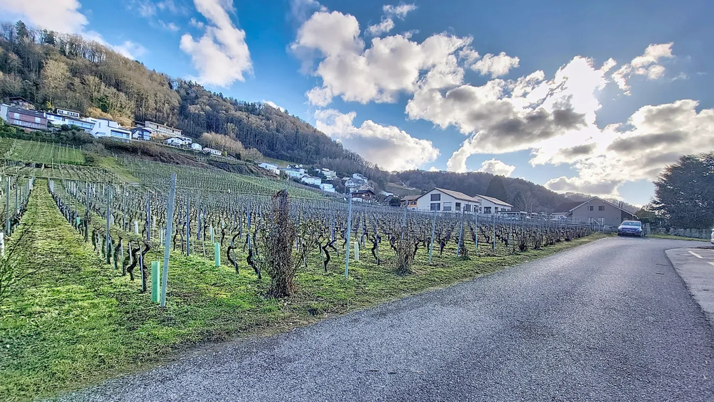 Appartamento 5.5 locali di circa 166 m2 in mansarda a Cheyres / FR - Foto 19 di 19