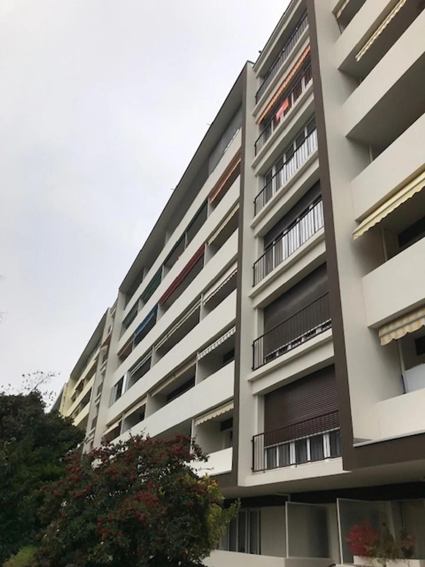 Studio meublé dans le quartier de Thônex - Photo 1 sur 6