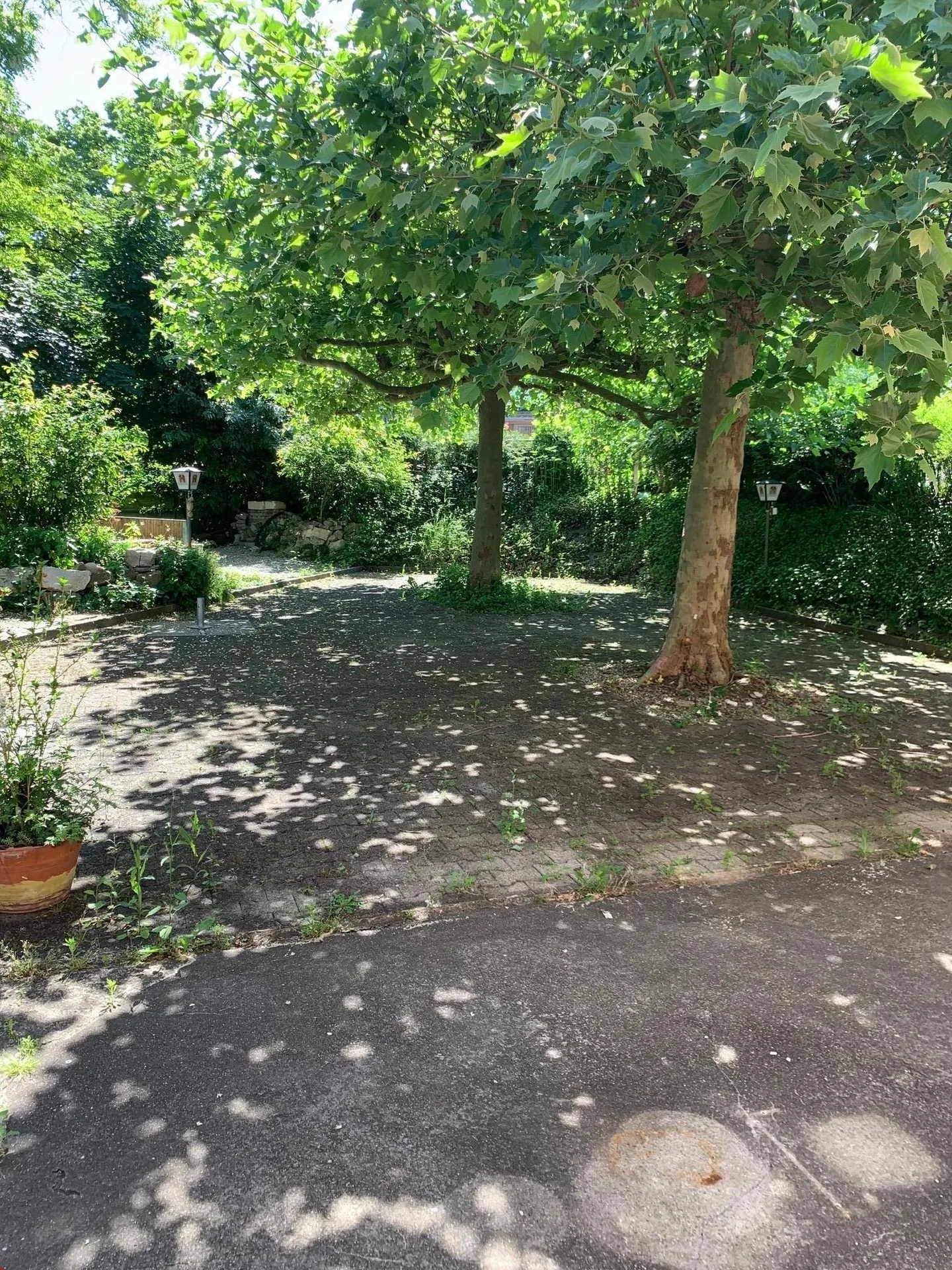 Commerciale/Ufficio/Ristorante - utilizzo versatile - disponibile immediatamente - Foto 4 di 15