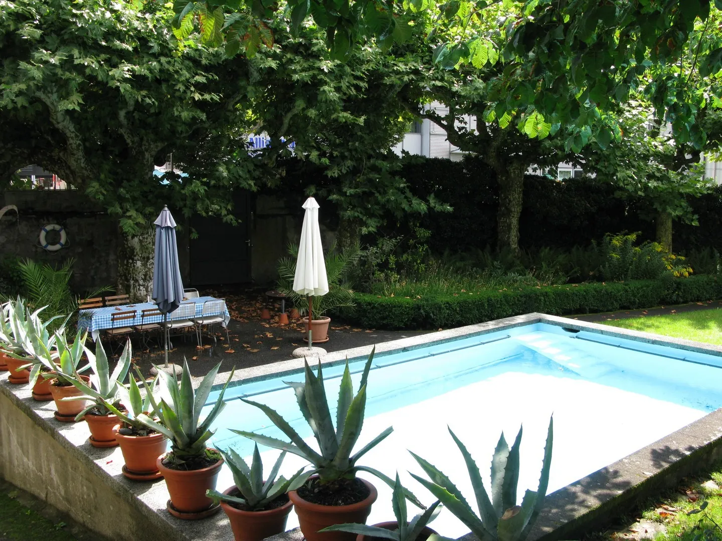 Charmante Wohnung in historischem Haus - Foto 9 von 10